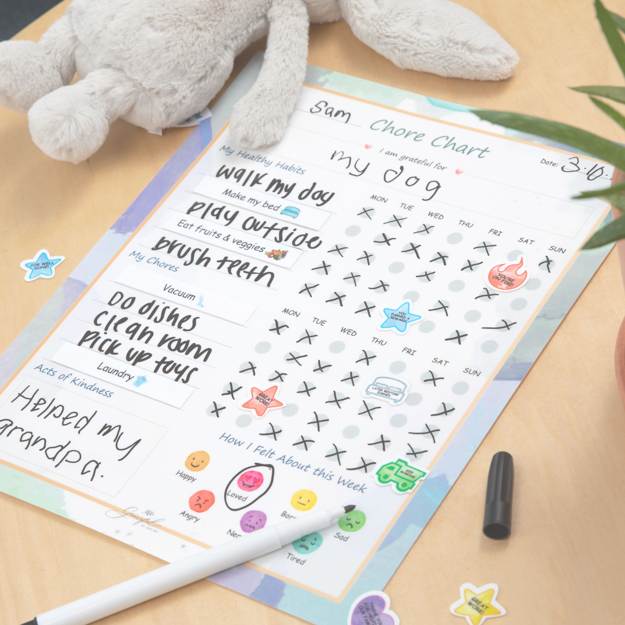 Flexible Stick Weekly Chore Chart and Emotion Tracker for Kids - For A
