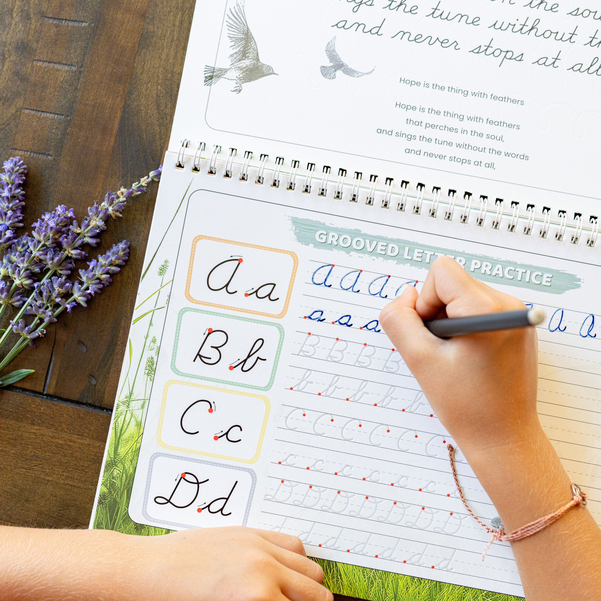 Cursive Reusable Grooved Handwriting Workbooks