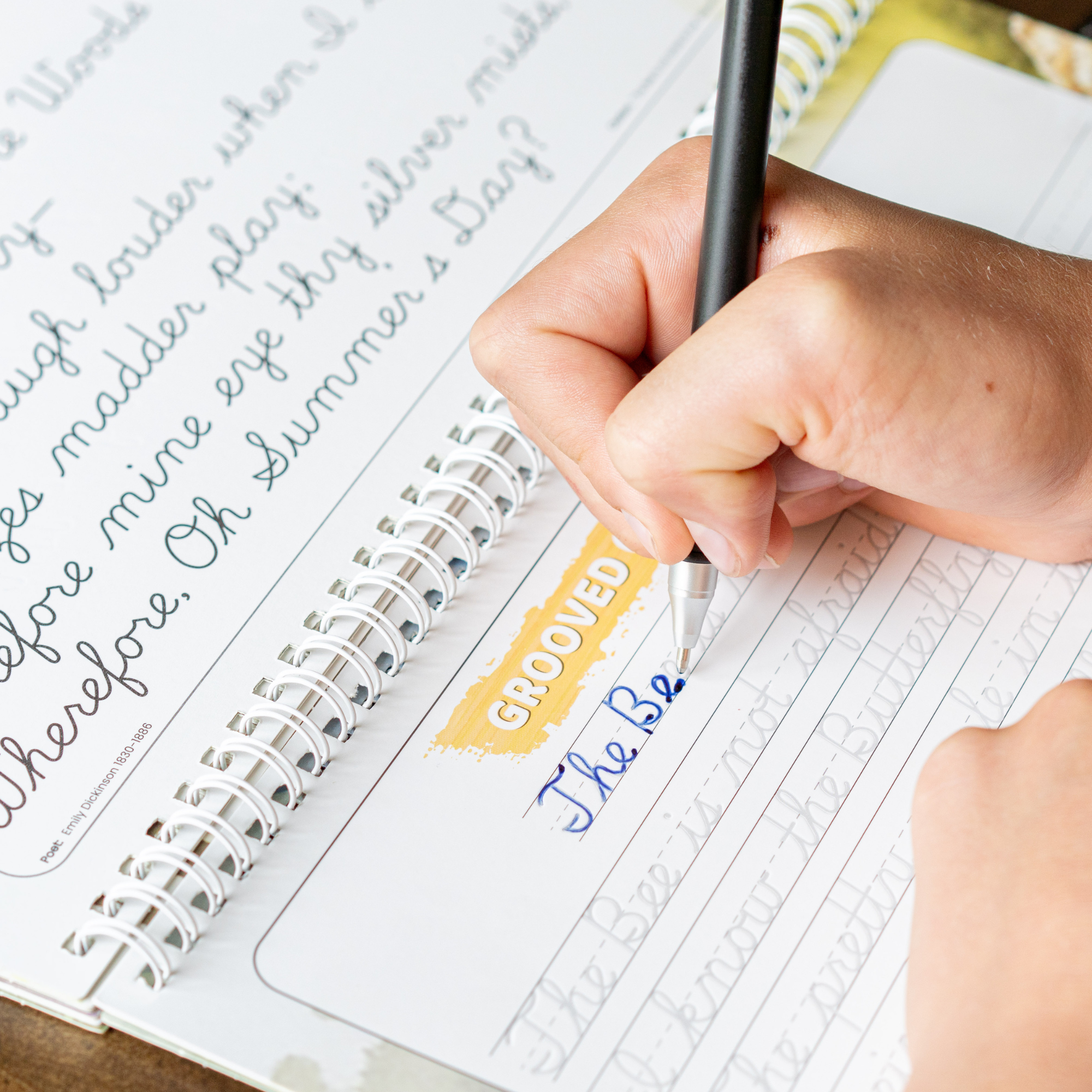 Cursive Reusable Grooved Handwriting Workbooks