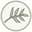 Graceful By Design logo